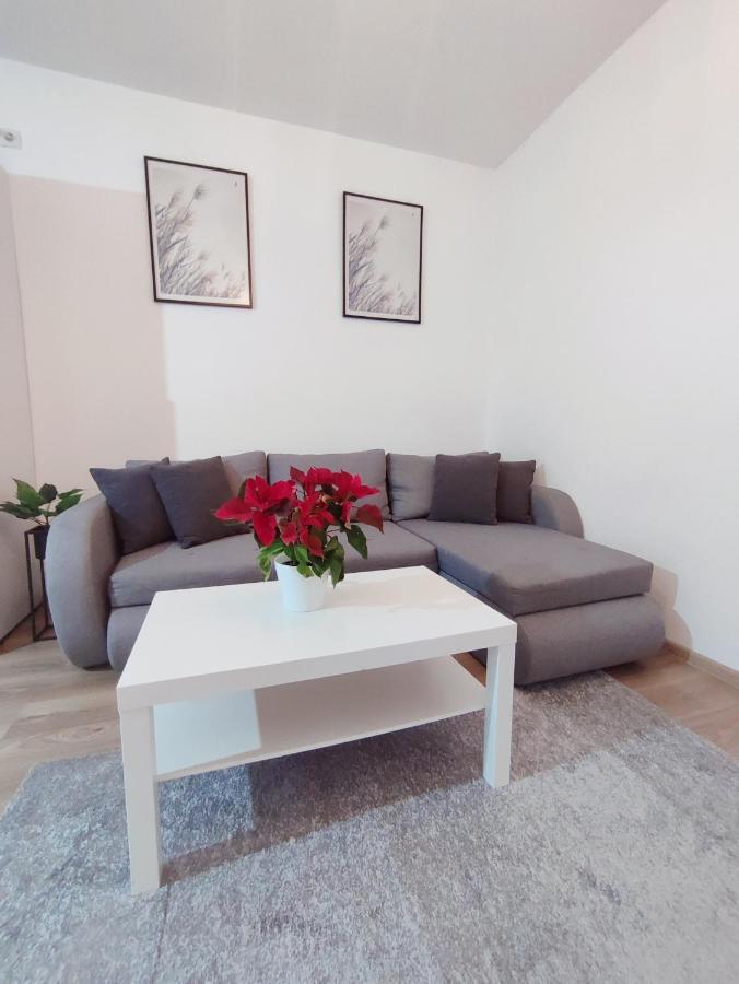 Central Residence Baia Mare Exterior foto